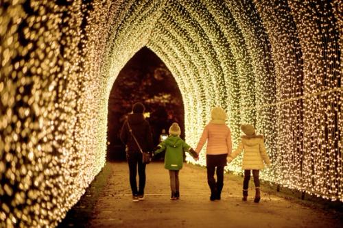Family walking in Kew Gardens