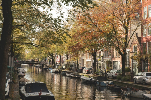 Autumnal trees by an Amsterdam canal.
