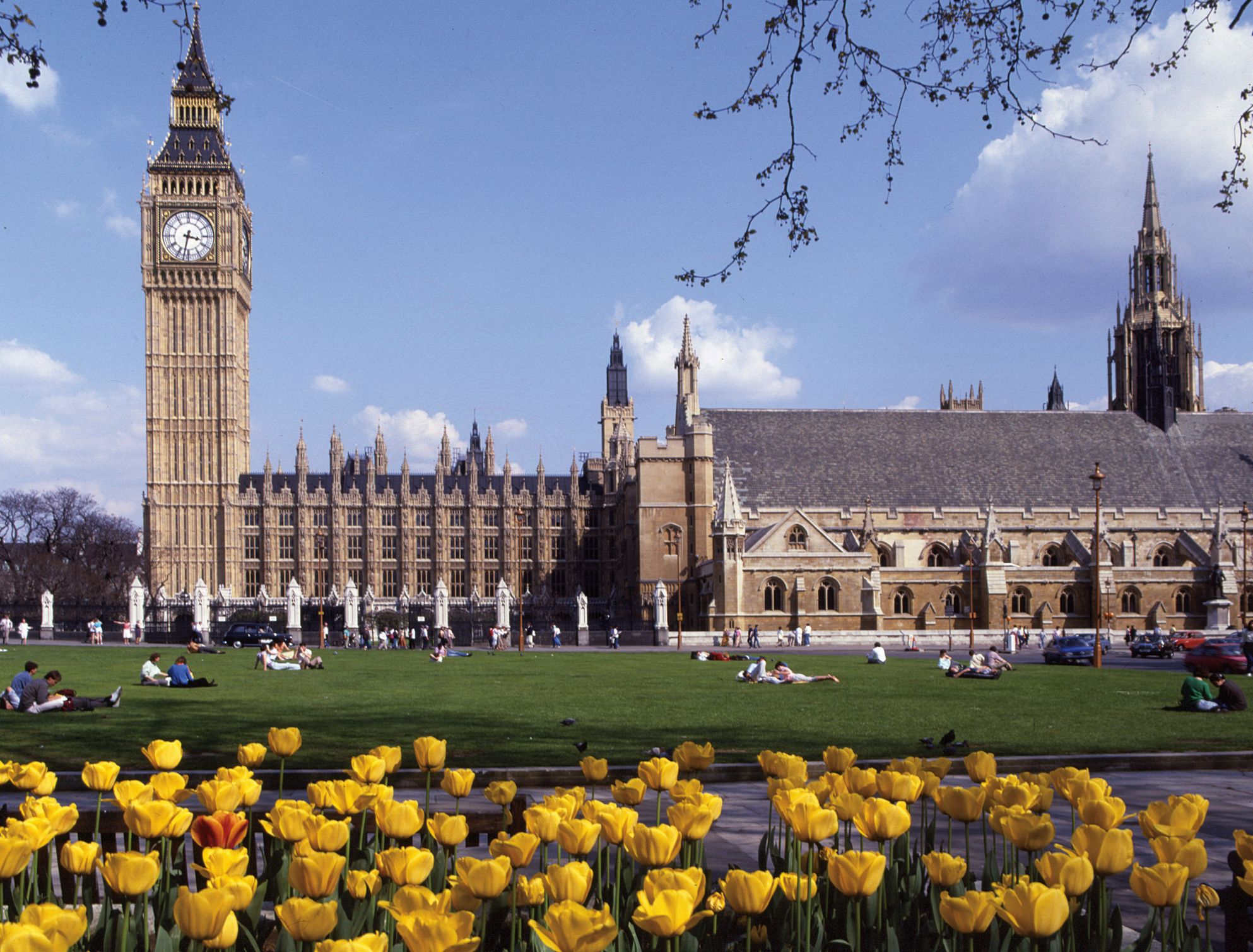 London - spring - Parliament view