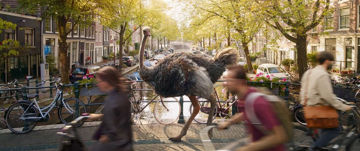 Download Download Sales Destar Costaneres Imatges Desktop Wallpaper Free Desktop Wallpaper Free Get Wallpaper Download Sales Destar Costaneres Imatges Desktop Wallpaper Free For iPhone