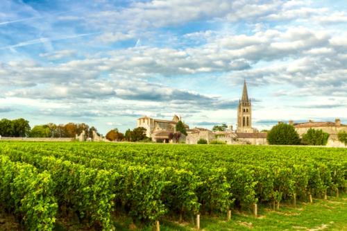 Bordeaux - vineyards