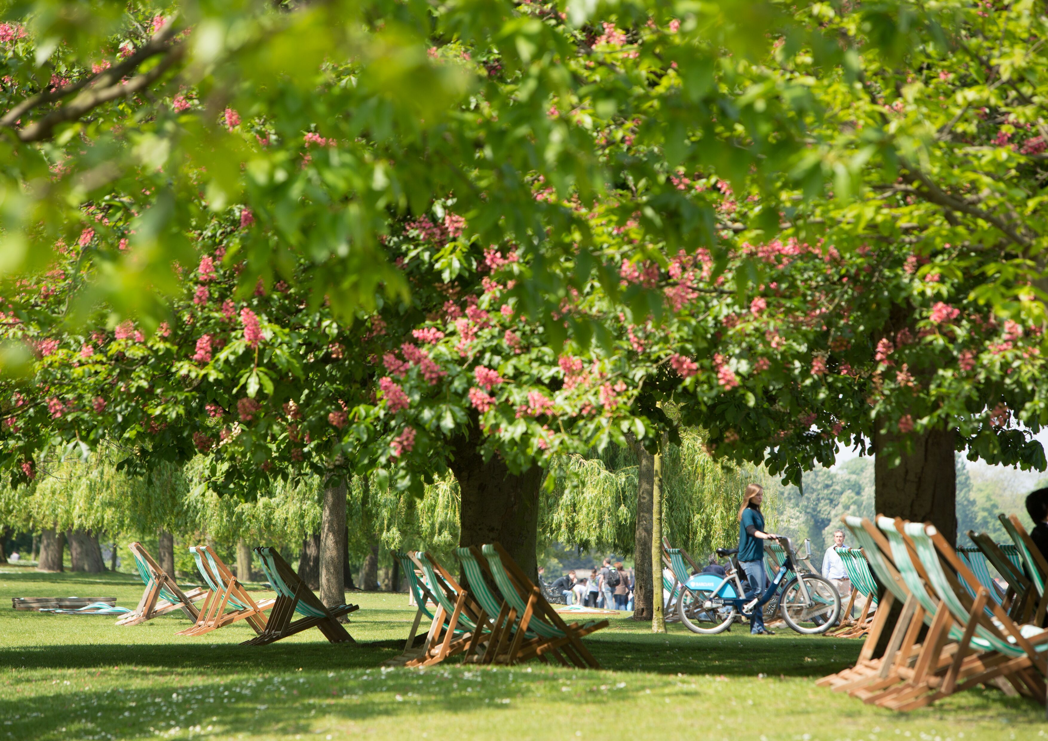 Girl with bike in Hyde Park, London