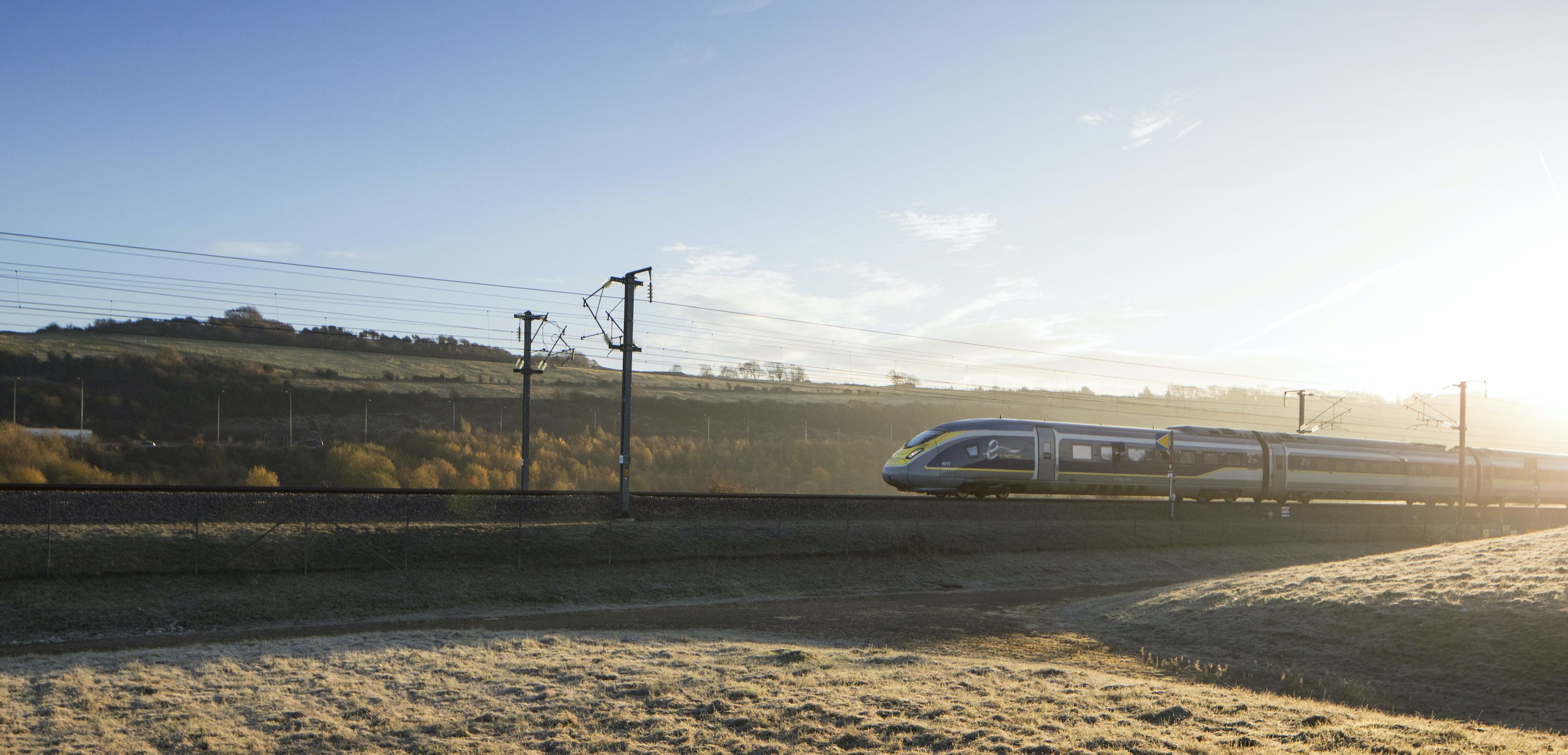 Can I Travel With My Dog On Eurostar