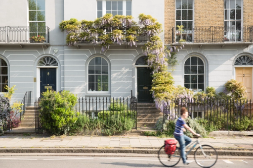 A woman cycling in front of some London houses in spring.