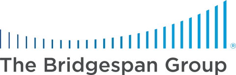 The Bridgespan Group logo