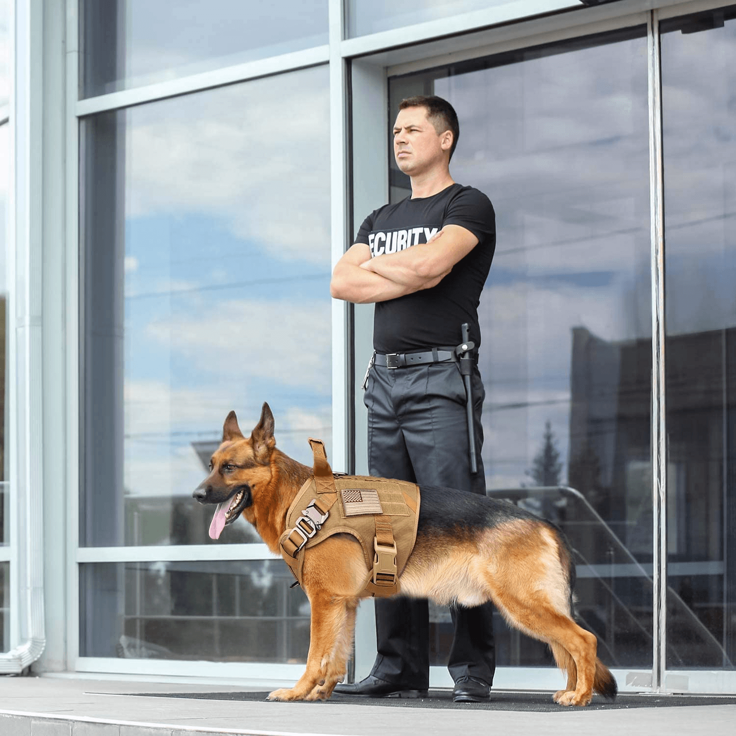 Hund i militärsele bredvid sin ägare