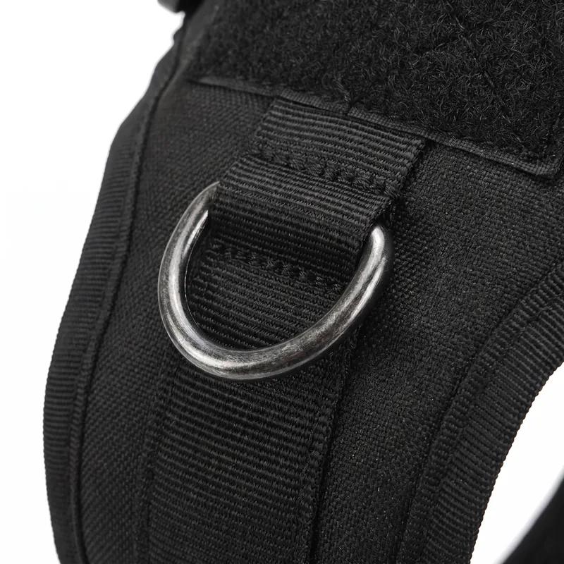 Close-up of the metal no-pull front D-ring on the harness