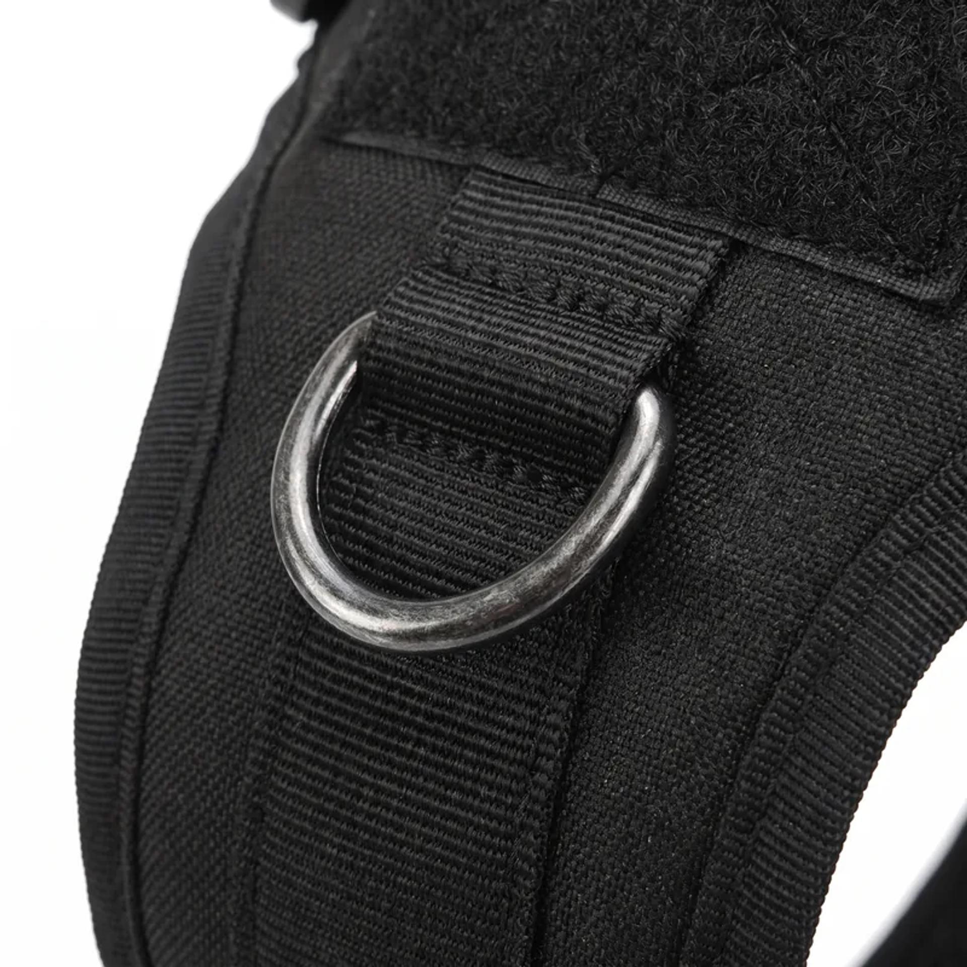 Close-up of the metal no-pull front D-ring on the harness