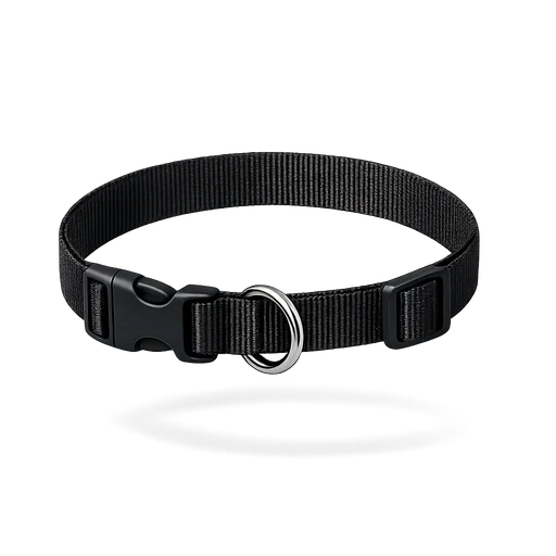 Standard nylon dog collar
