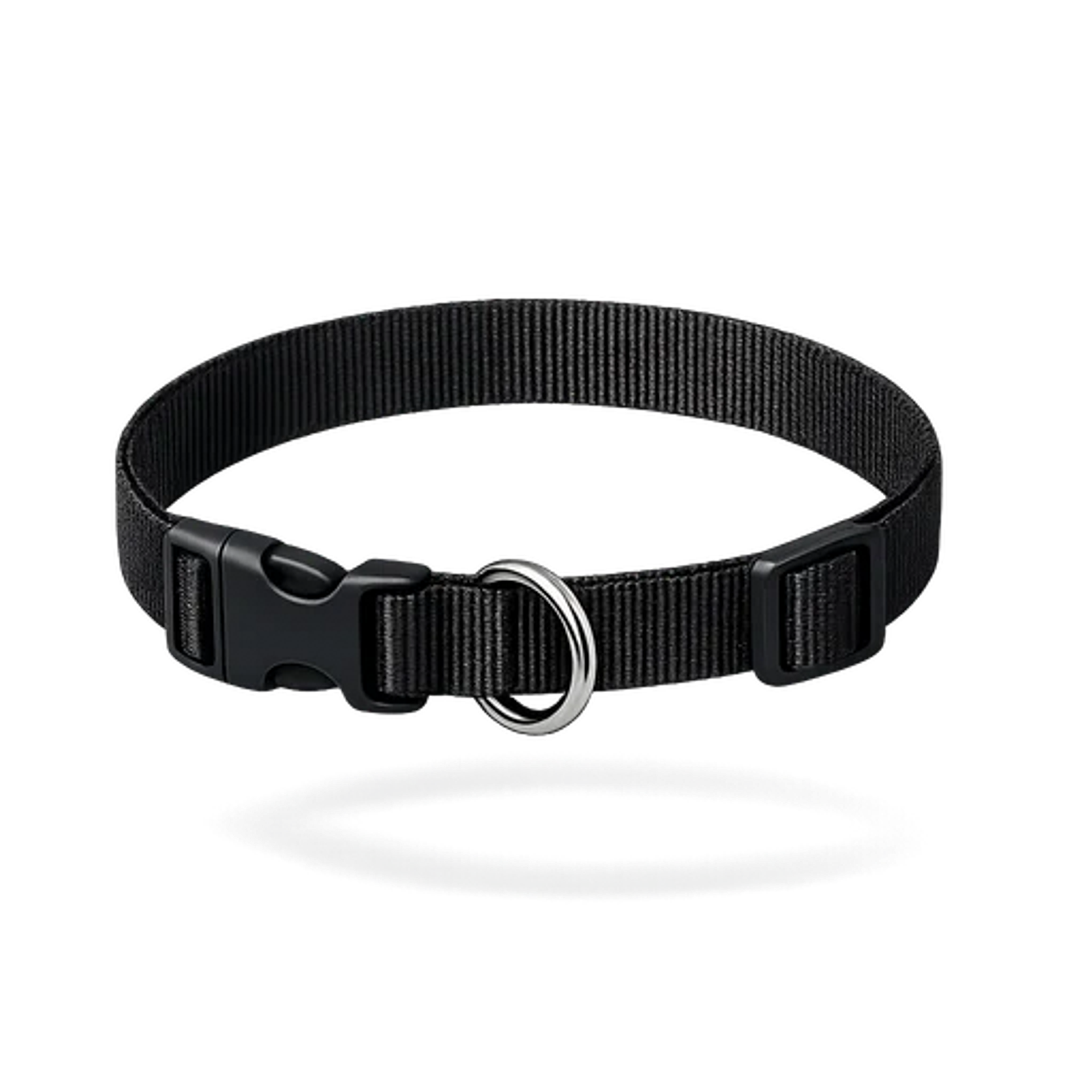 Standard nylon dog collar