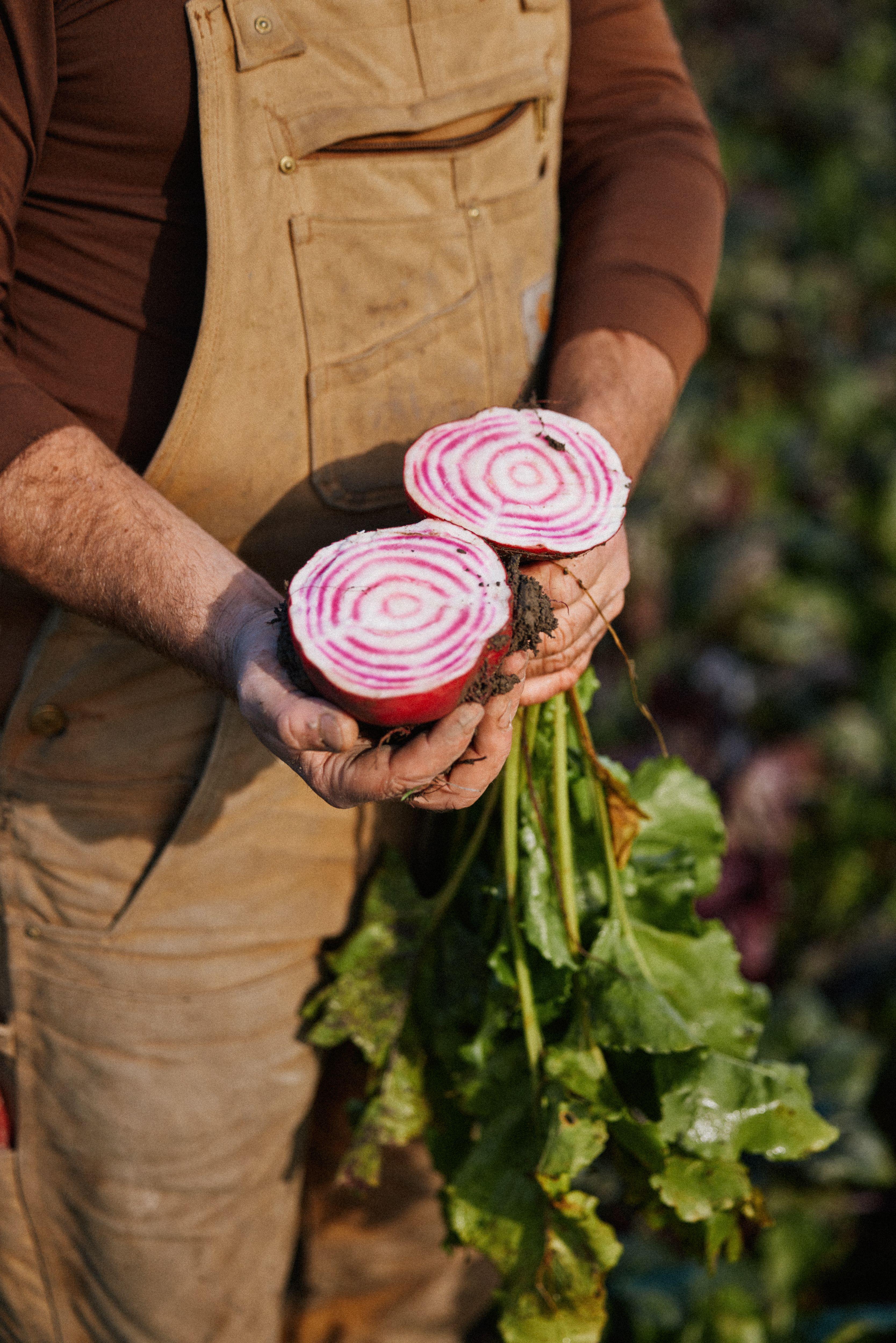 Man with sliced beet in field