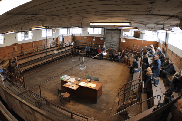 Auction Operations.