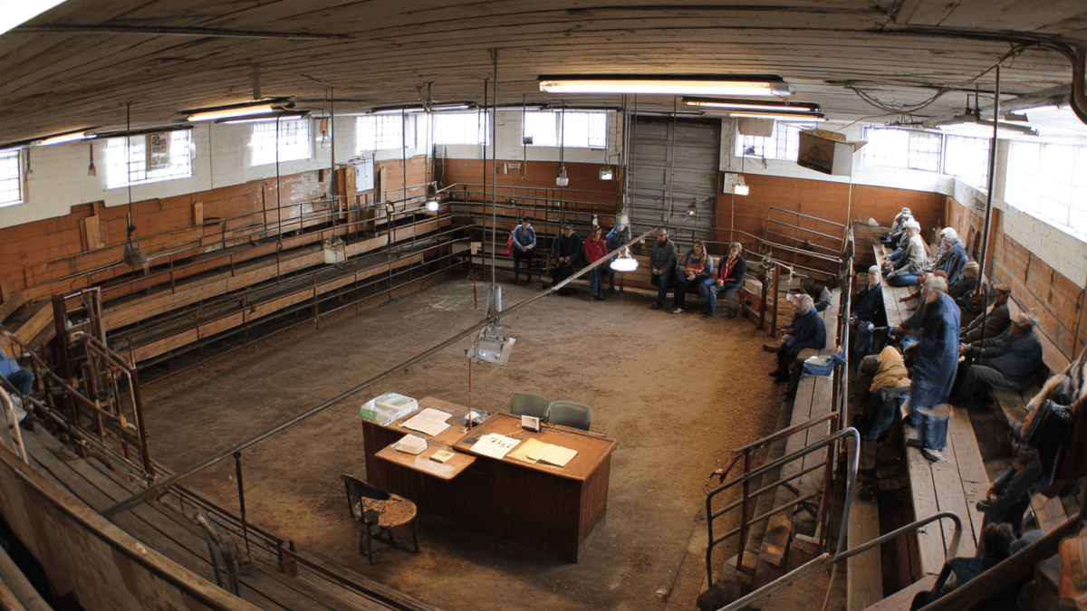 Auction Operations.