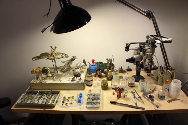 Taxidermy.