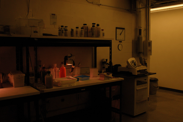 Color Darkroom.