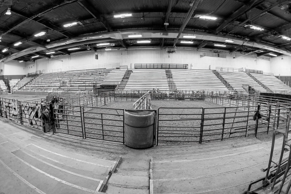 Livestock Diversion Performance.