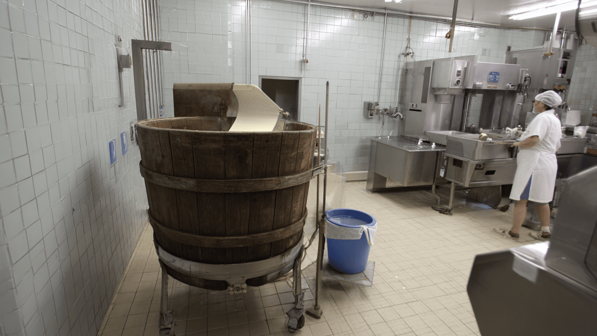 Dairy Processing Barrel Churn.