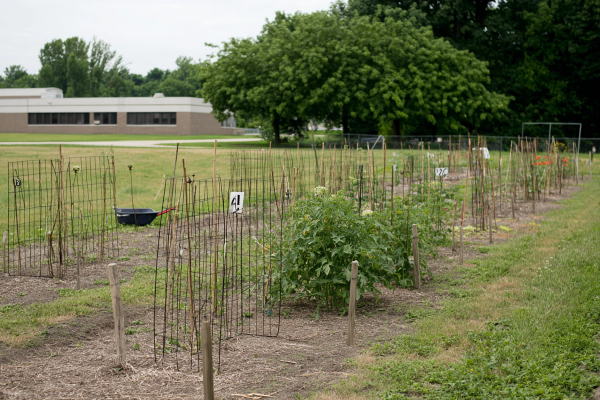 Community Garden Plots.
