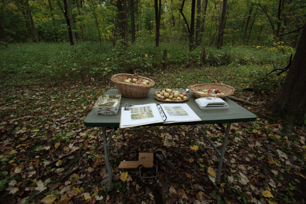 Woodland Botanical Products.