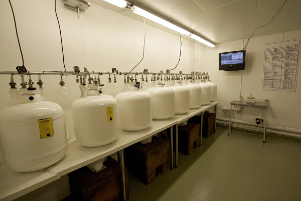 Fermentation Cellar.