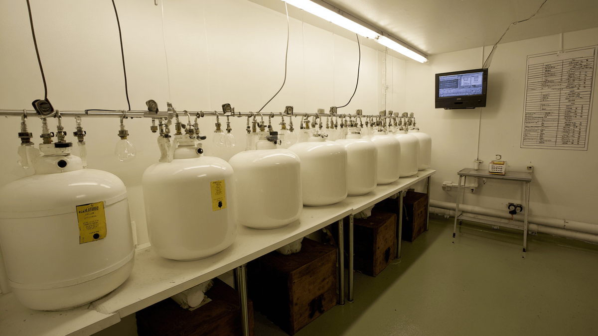 Fermentation Cellar.