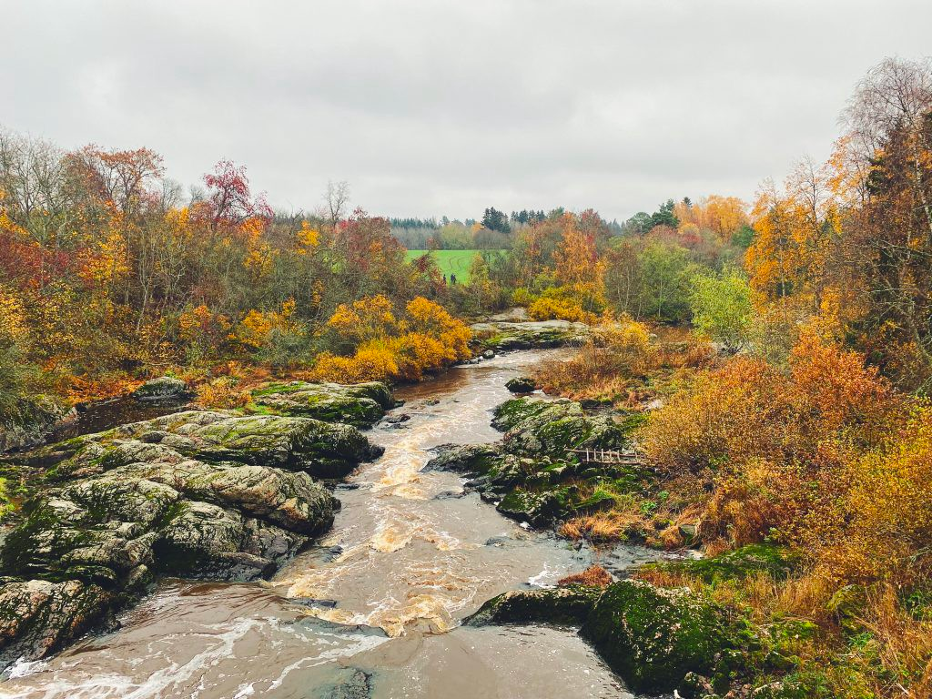 Estimations in Agile Environments — Why, When and How to use it