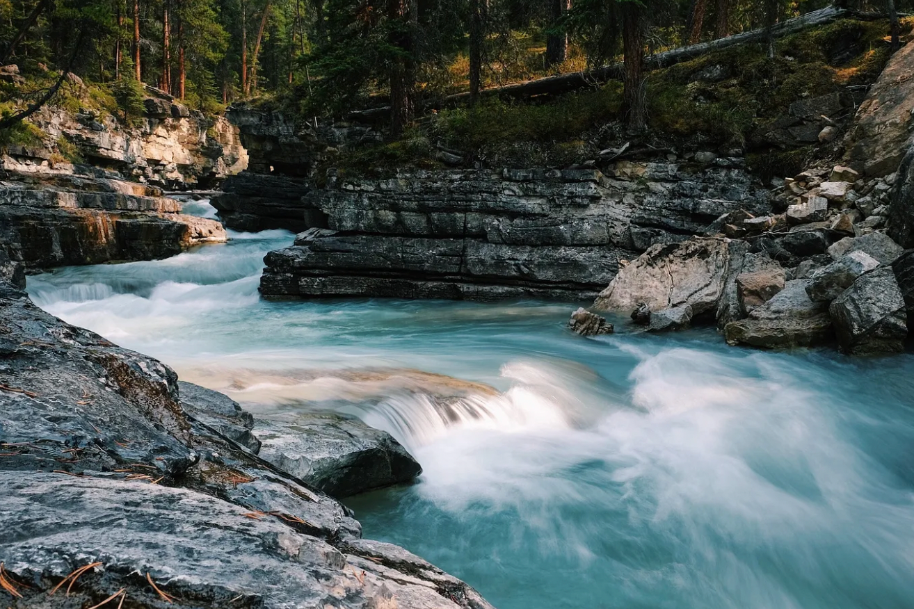 Organisational Development — the importance of having a high performing and healthy organisation