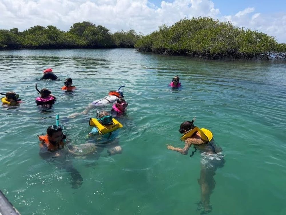 Students snorkel in shallow water