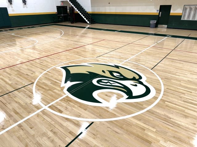 The Falcons logo at mid-court in the Hoagland Arena gymnasium