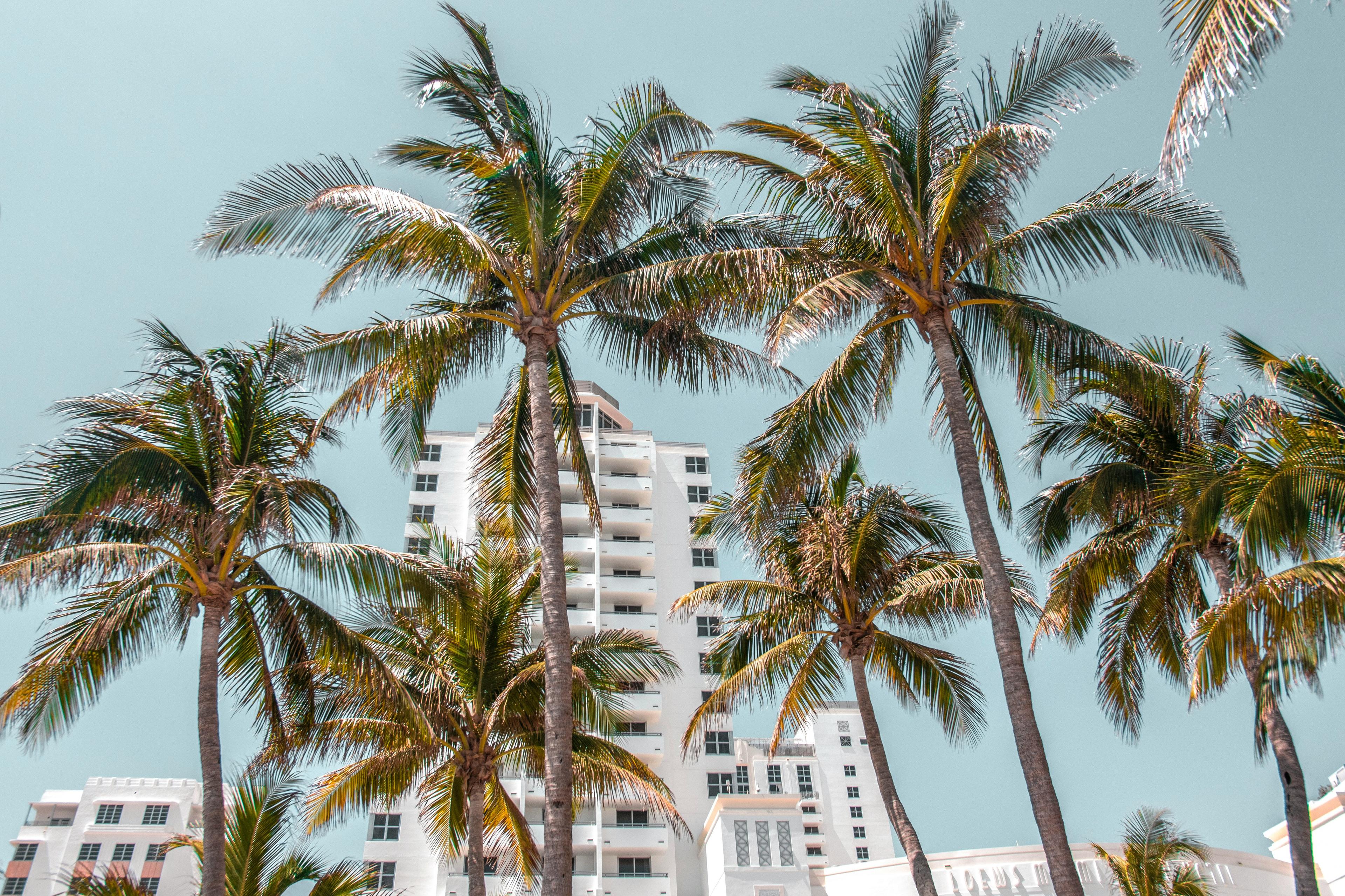 Related's Ross Adds Fourth West Palm Beach Tower