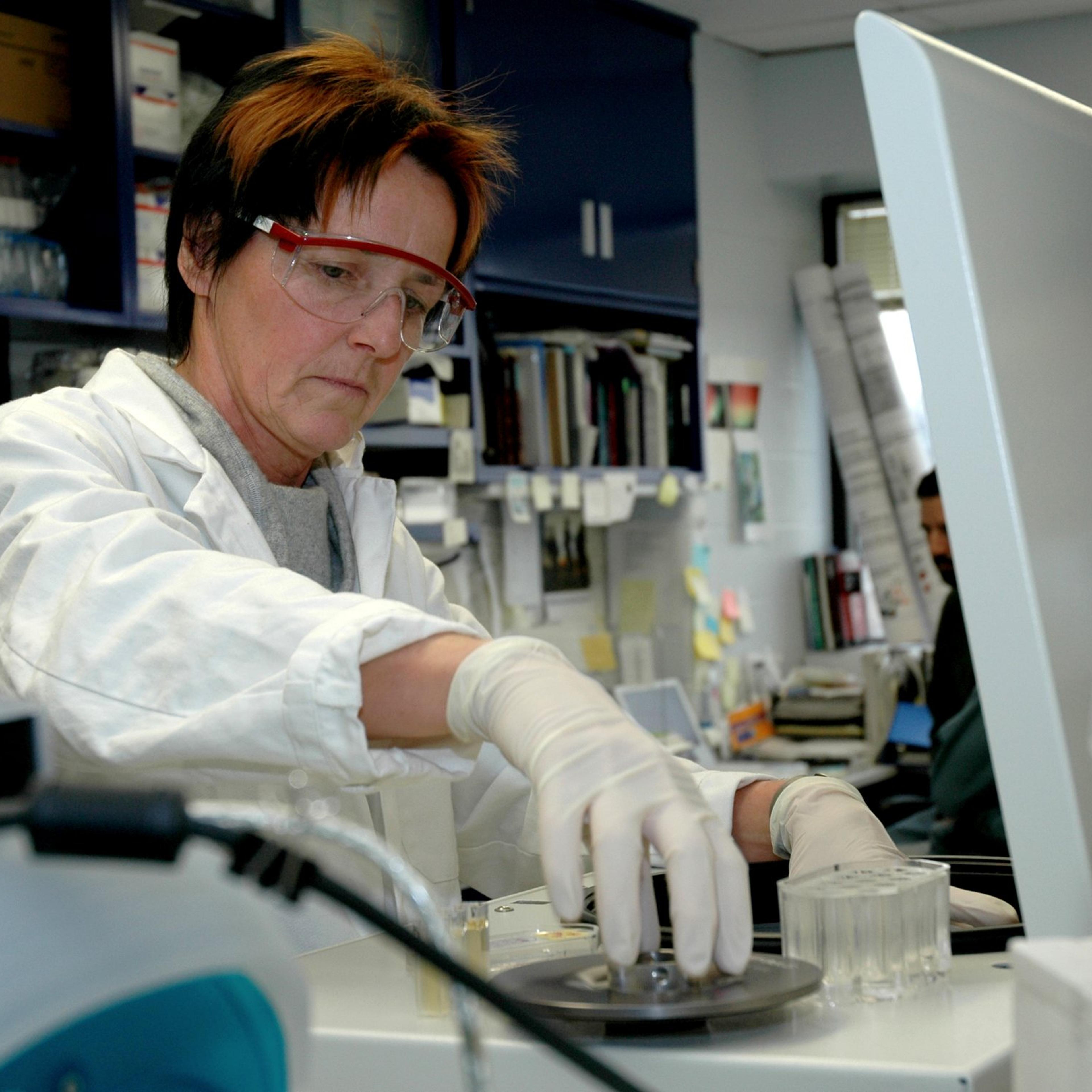 Sylvester receives $1 million to study pancreatic cancer vaccine strategy