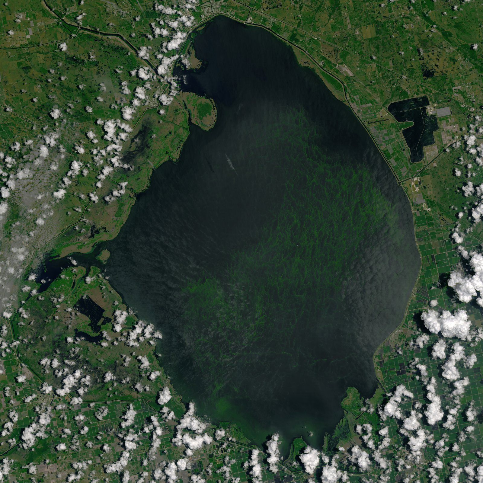 Palm Beach health officials issue Oct. 23 algae alert for three Lake Okeechobee locations