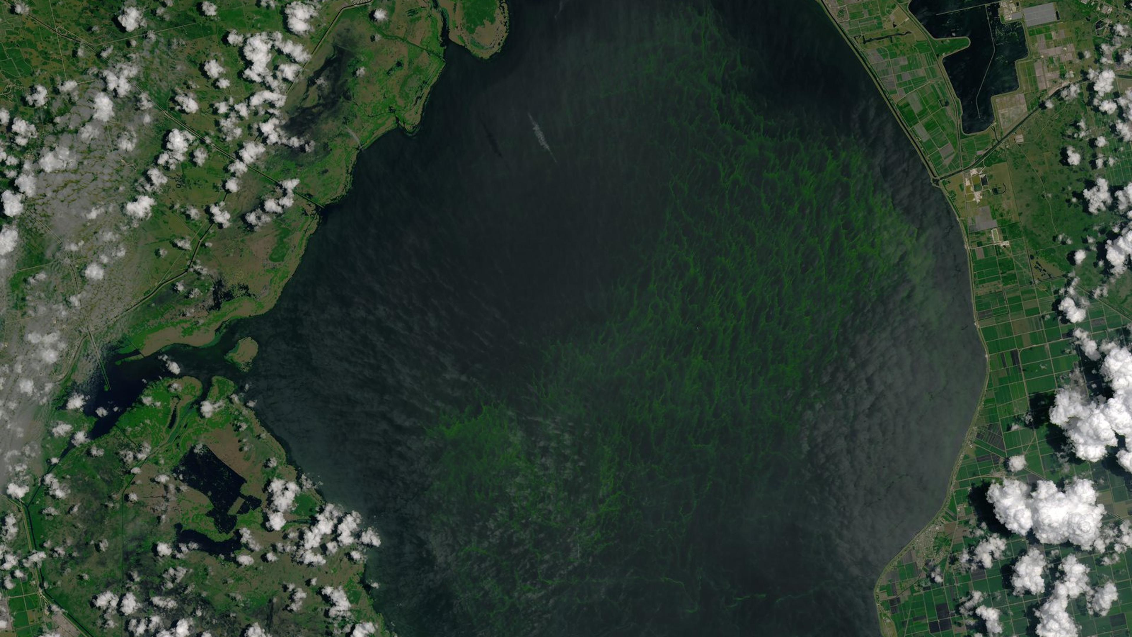 Palm Beach health officials issue Oct. 23 algae alert for three Lake Okeechobee locations
