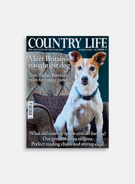 countrylife magazine 