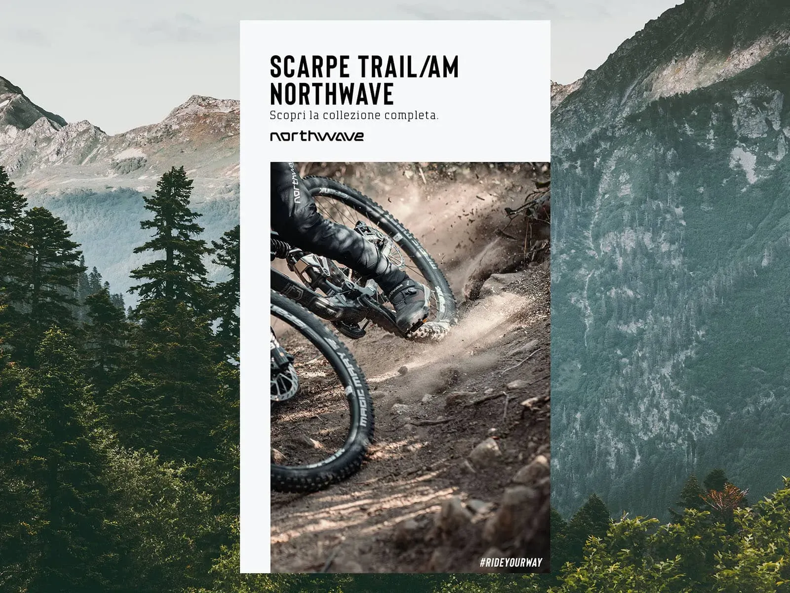 northwave-5