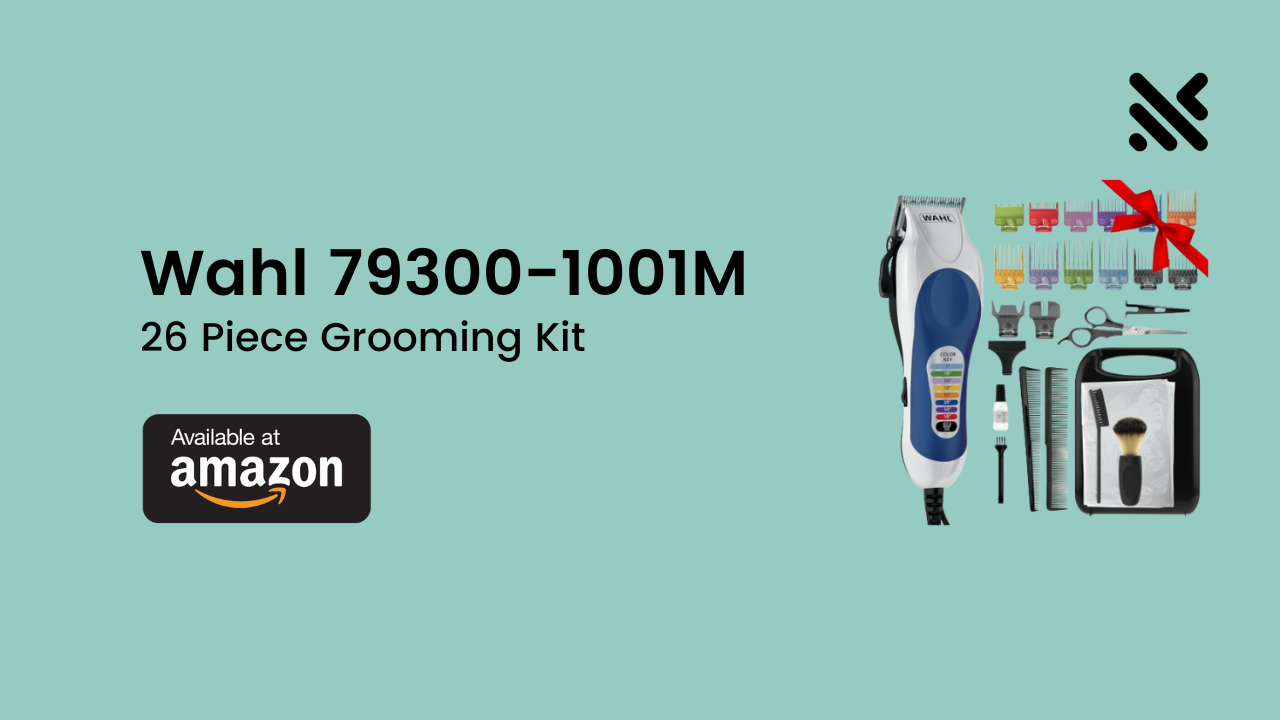 Wahl 79300-1001M