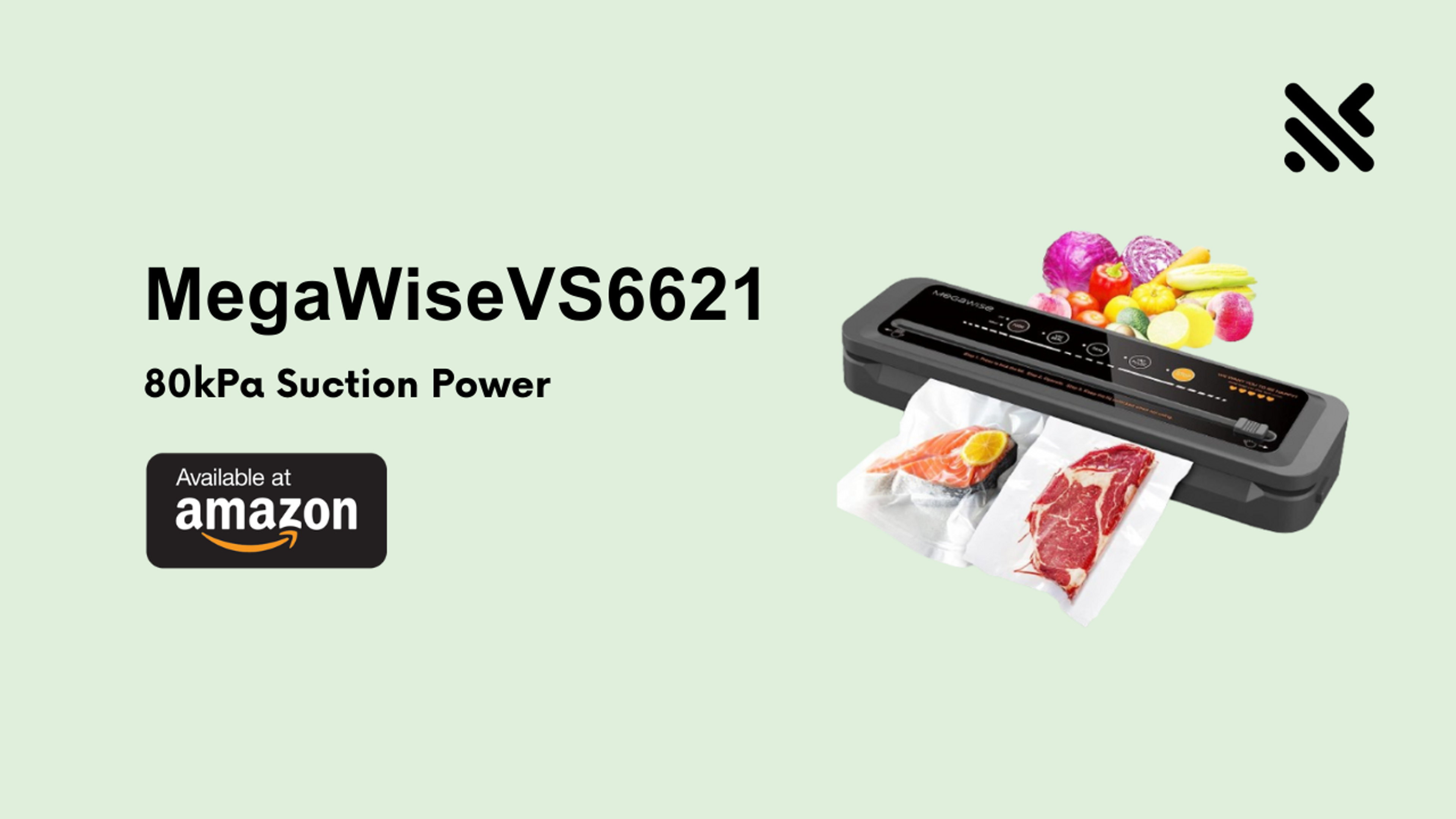 MegaWiseVS6621