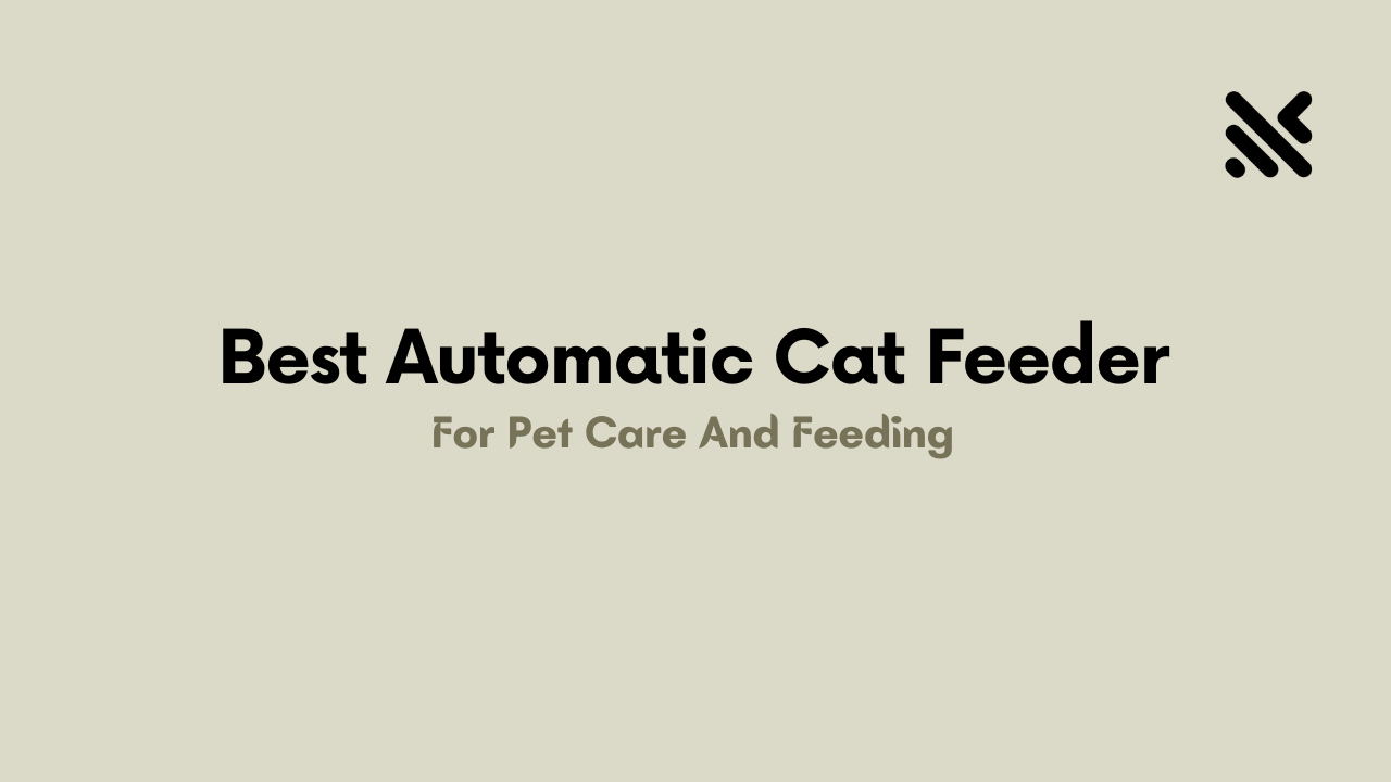 Best Automatic Cat Feeder For Pet Care And Feeding