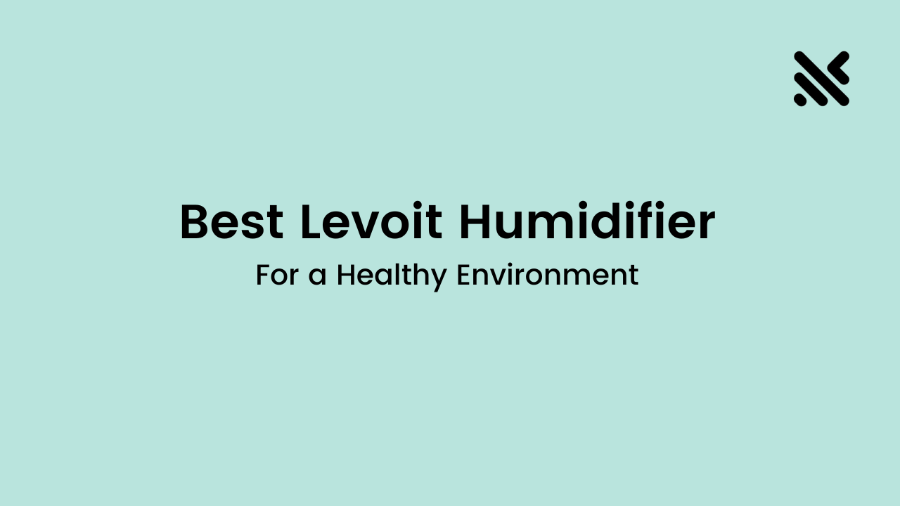 Best Levoit Humidifier for a Healthy Environment
