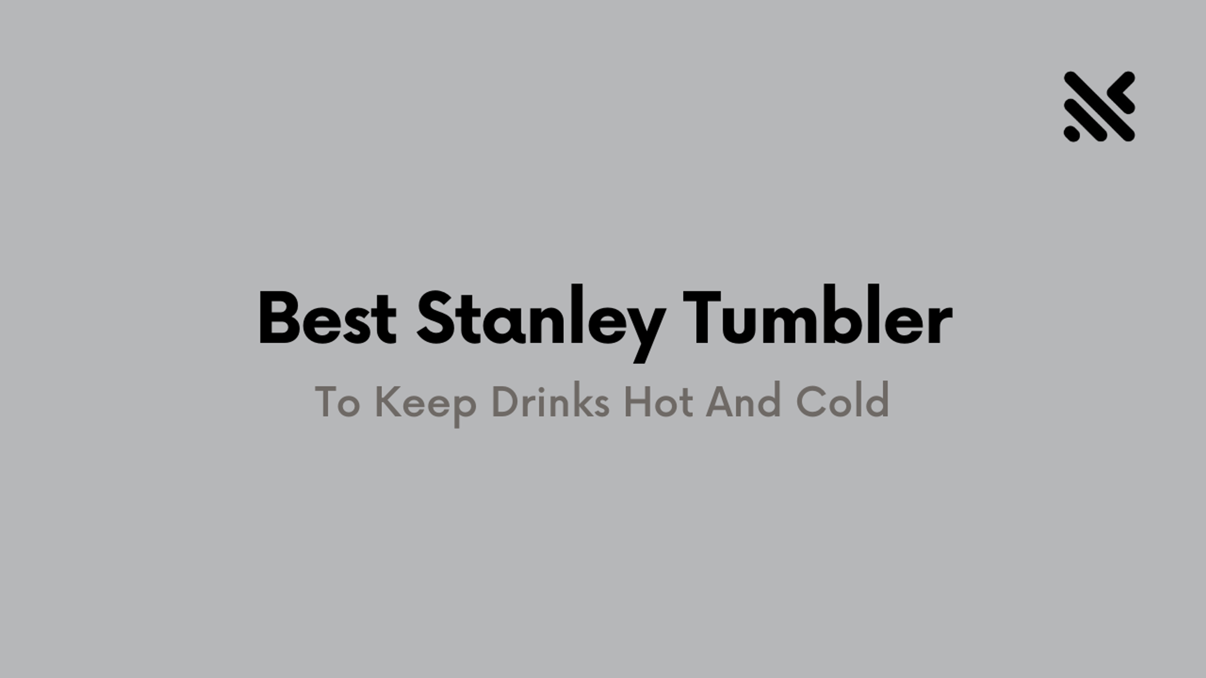 Best Stanley Tumbler to Keep Drinks Hot And Cold