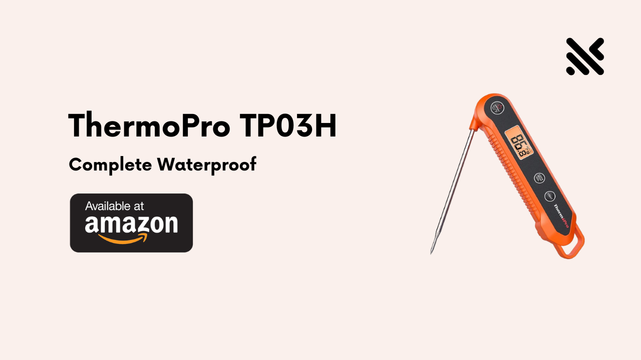 ThermoPro TP03H