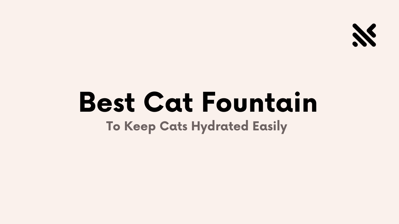 Best Cat Fountain To Keep Cats Hydrated Easily