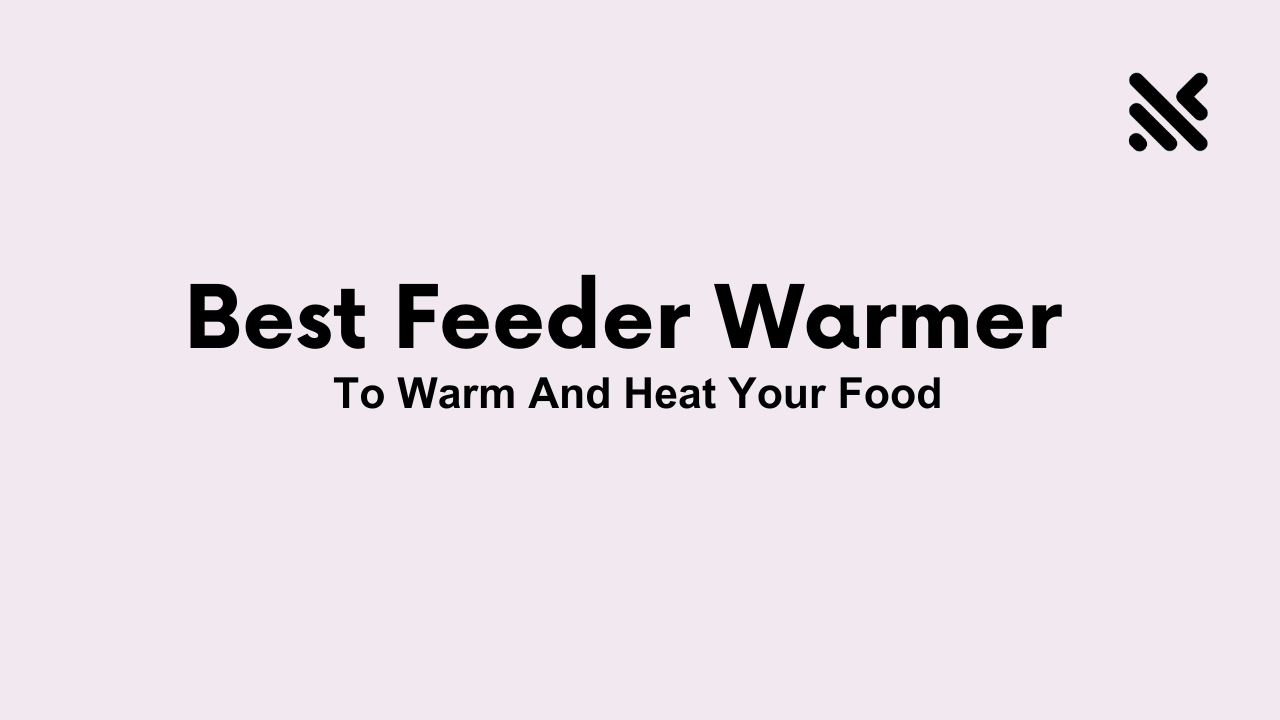 Best Feeder Warmer to Warmth And Heat Your Food