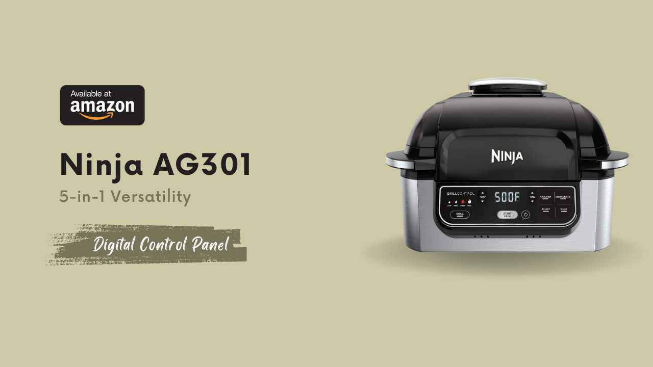 Ninja AG301