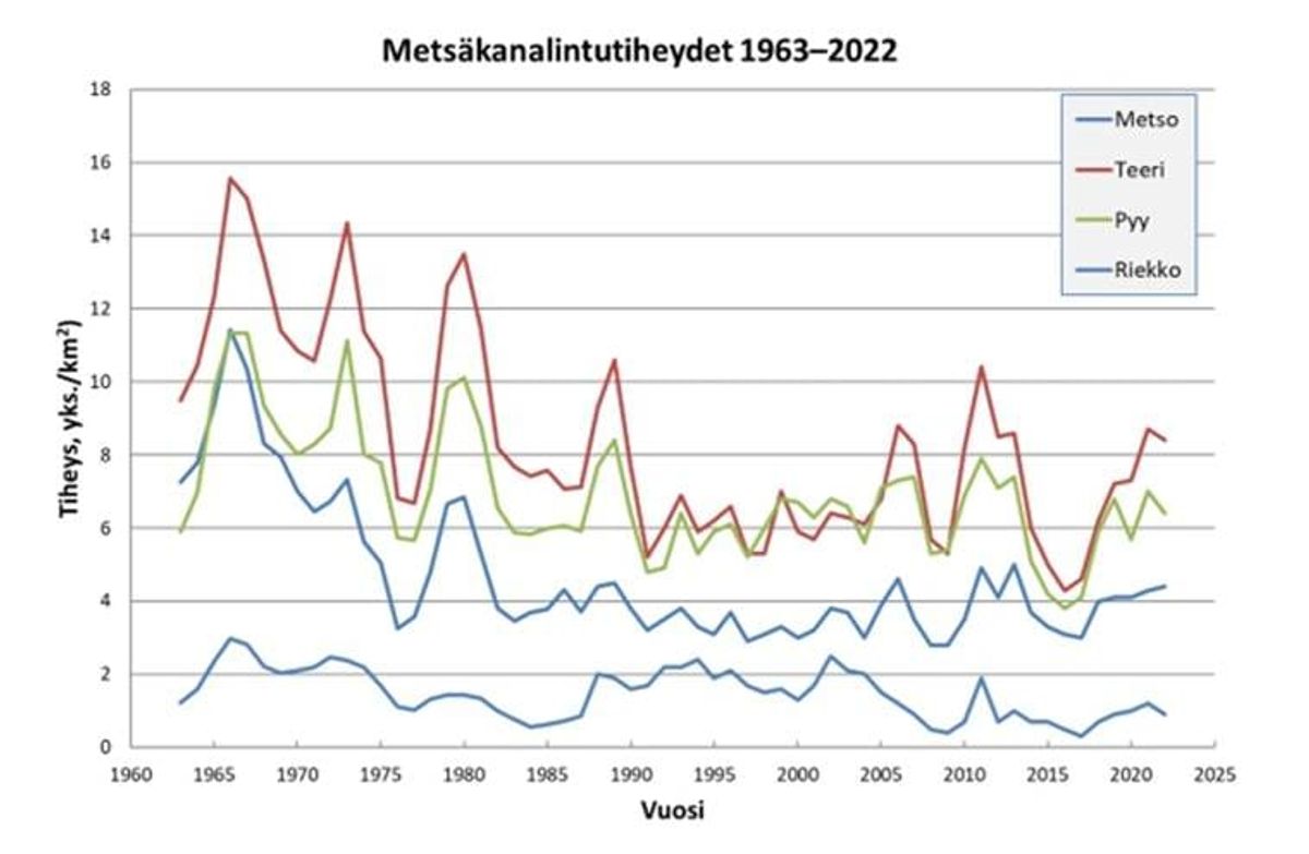 Kaavio: metson, teeren, pyyn ja riekon tiheydet 1963–2022. Kaikkien lajien tiheydet vaihtelevat sykleittäin ja ovat laskeneet 1960-luvun tasolta.