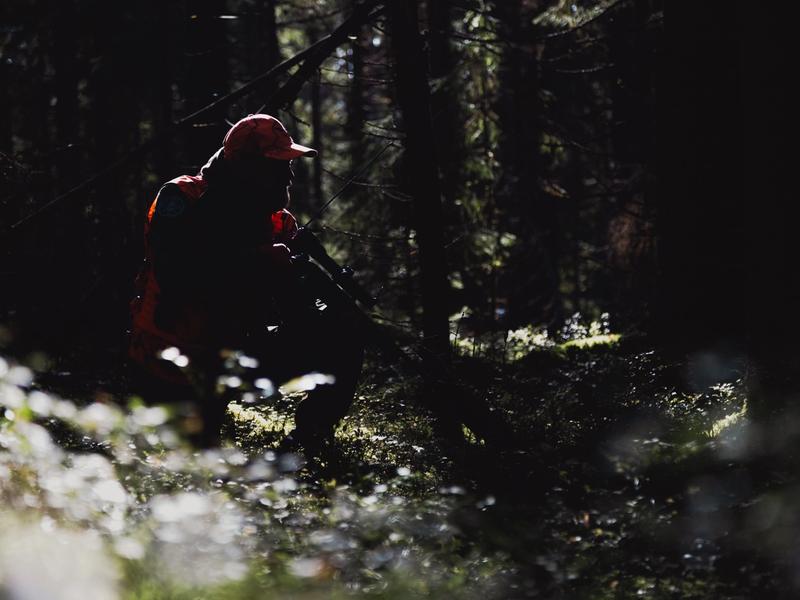 Hirvenmetsästäjä kiväärin kanssa vastavalossa