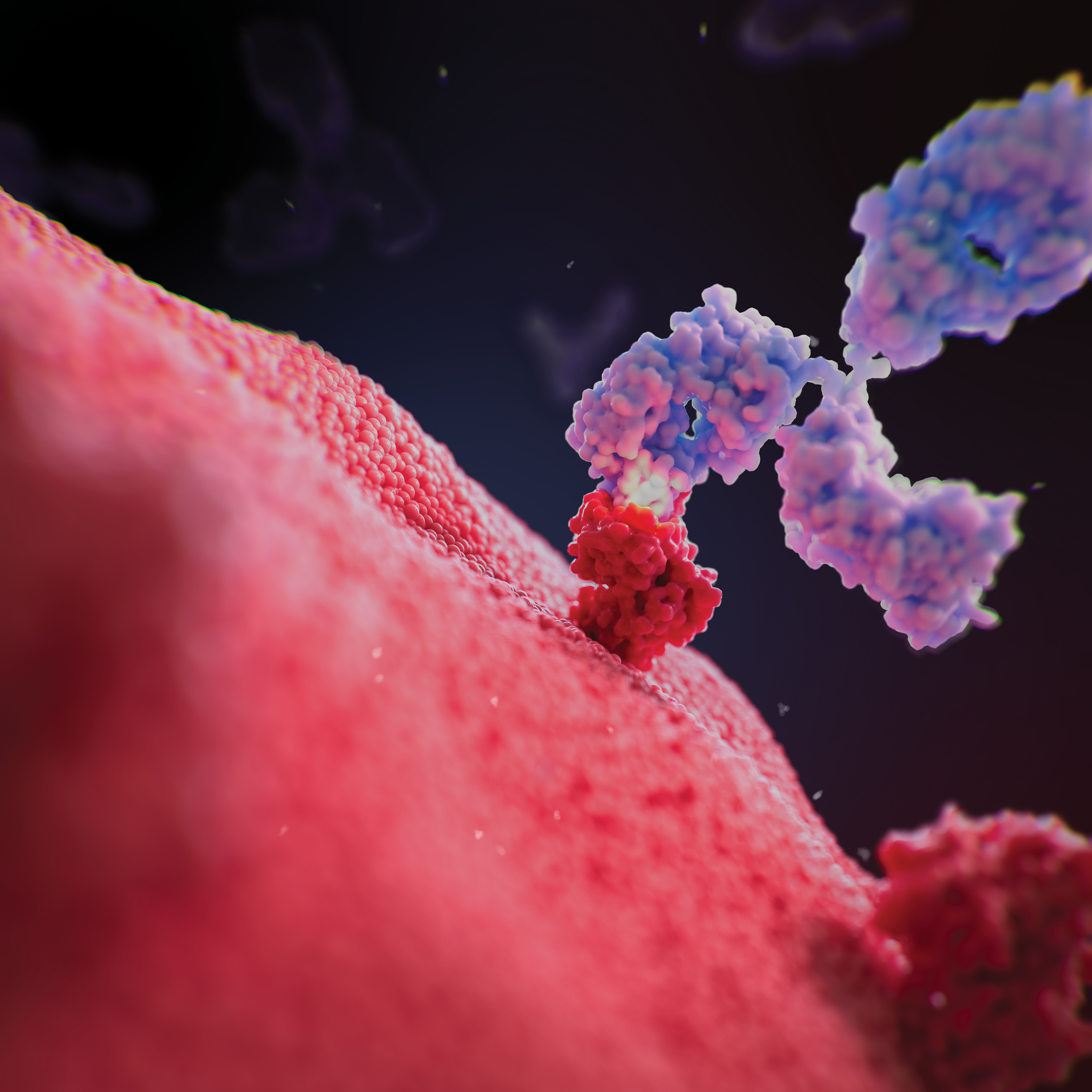 A periwinkle molecule connects to a red connector on the surface of a cell.