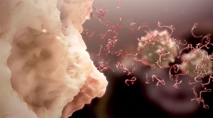Animation image of scores of virus strands exiting a cell wall. Viruses have a reddish tone, the whole image is in warm colors.