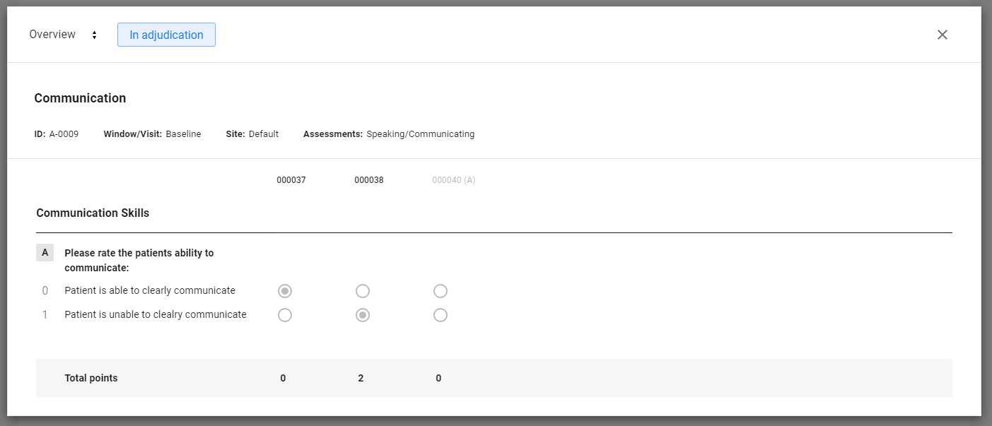Image from platform showing an assignment preview.