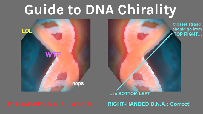 Title: Guide to DNA Chirality. Left image: "LOL, WTF, NOPE" Left-handed DNA: wrong! Right Image: Closest strand should go from TOP RIGHT to BOTTOM LEFT. Right-Handed DNA: Correct!